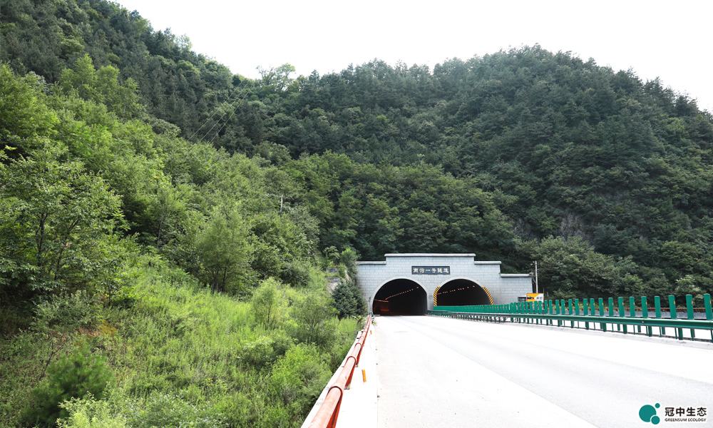 ���ٹ�·�����޸�