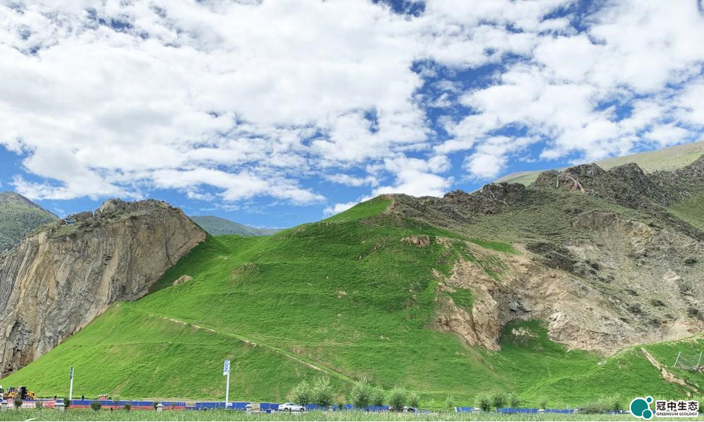 ����ɽ������