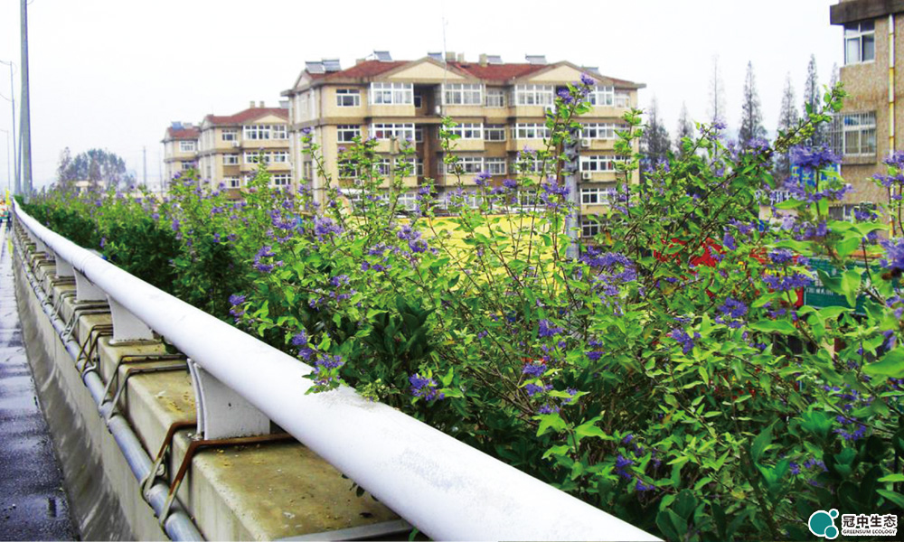 �������̻�