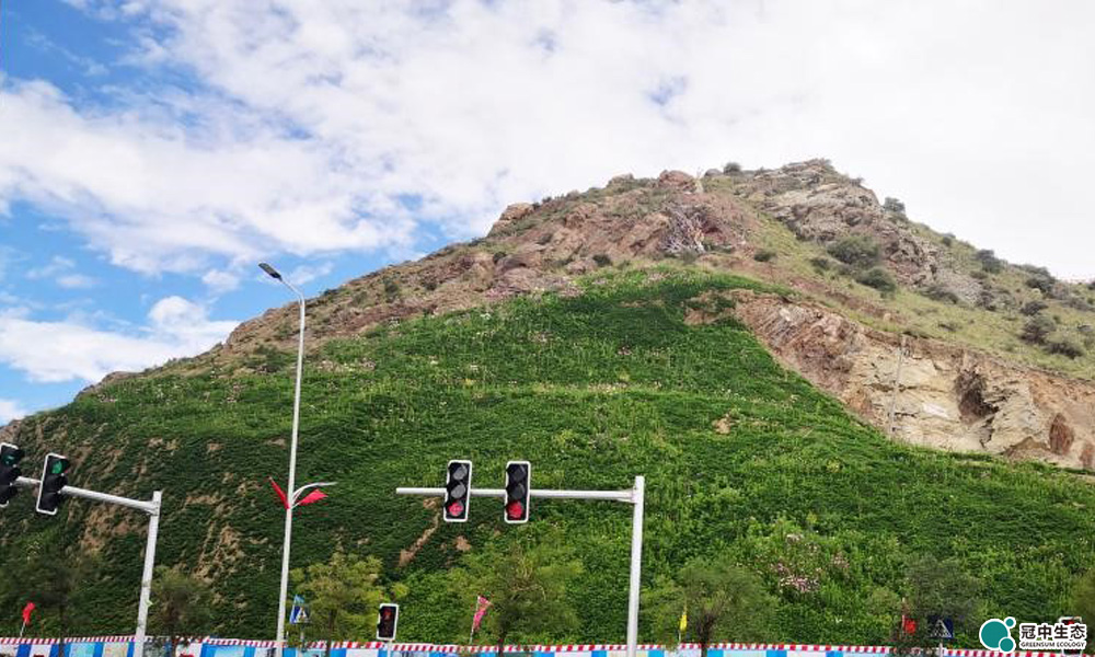 ����÷MGM��(�й���)�ٷ���վ